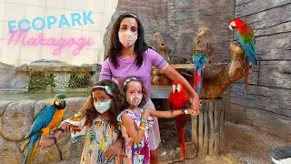 BRINCAMOS COM ARARAS DE VERDADE! - ECOPARK MARAGOGI PARTE 1