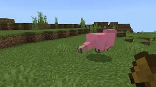 I Found the rarest sheep color | the pink sheep in mine craft #minecraft