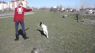 Утреняя разминочка