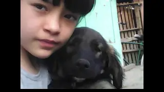 у меня умер мой пес Цыган