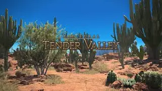 FINAL FANTASY XIV [PS5 ] Tender Valley Dungeon Lvl 100 (Dawntrail)