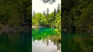 Nature is so healing 😍❤️  Switzerland beauty 😍🇨🇭 #nature #travel #lakeblausee