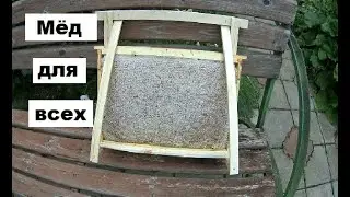 Сотовый мёд к Медовому Спасу