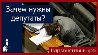 Why are deputies needed and why are there so many of them? / Semi-political scientist