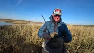 Охота с подсадной уткой весной.часть3