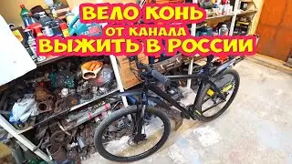Во становление вело коня от канала Выжить в России