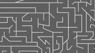 The Maze