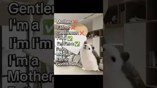 И до меня дошëл тренд #cat #funny #cats #mem #shorts #мем #мемы