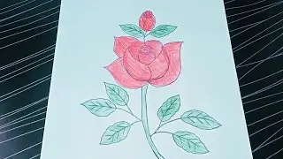 How to draw a rose flower drawing from beginners | easy drawing | step by step - farhana drawing