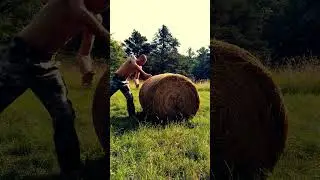 You don't need a gym, just go outside - Natural Martial Arts Training