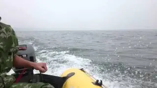 Сузумар 340 и ямаха 15