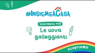Grandi e Piccini oggi Scopriamo #INSIEMEACASA – L’esperimento delle uova galleggianti