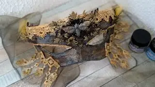 Процесс создания карнавальной маски в рамках СП"Всё на бал"