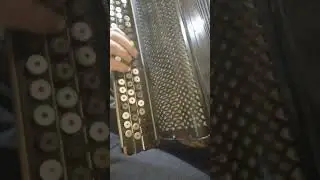 Ясная поляна