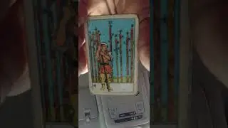 ♌ LEO BONUS - SCREAMING BLOODY MURDER