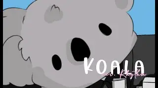 Koala (English Cover)【Rhythm Records】「Will Stetson」