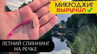 ✅ЩУКА И ОКУНЬ ЛЕТОМ на МИКРОДЖИГ . Рыбалка на спиннинг на реке 2024