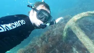 Серия 11 - Крым - Тарханкут. Плаваю в море, общаюсь с животными