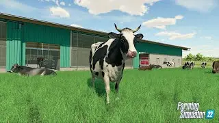🔥FARMING SIMULATOR 2022 -  Делаем МЕГА МОЛОЧНУЮ ФЕРМУ # 1