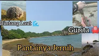 Tour di Pantai malang Part II #pantaikondangmerak #pantaingentup #pantaibayumenang #pantaimalang