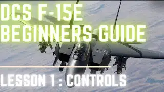 F-15E DCS: Setting up HOTAS Controls | Beginners Guide Lesson 1
