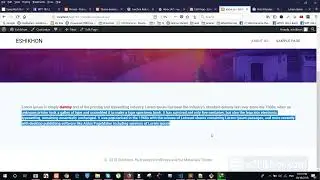 wordpress website design. 