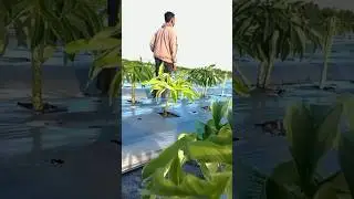video cinematic yang simpel 