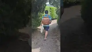 Perdido en un laberinto! 😱