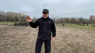 How to Train a Dog to Run Next to a Bike? Dog Training