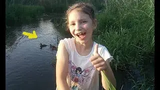 что вытворяют утки #YuliaChannel