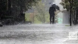 A CHUVA | JOSÉ MANUEL BARROSO