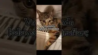 Vay be!Keşke onunla bu fotoğrafları çekinebilseydim:(