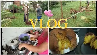 💙 TIVEMOS QUE FAZER 😬 FIZ ALMOÇO 😋 COMO EU FAÇO BOLO MESCLADO DE CENOURA E CHOCOLATE 🥰
