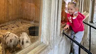 Трогательный Зоопарк в Бруклине - Prospect park Zoo
