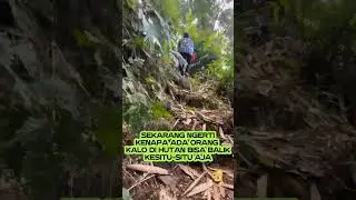 Hati-hati klo lagi di hutan