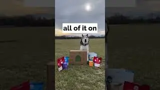 January is off to a GREAT START thanks to Open Farm Pet!