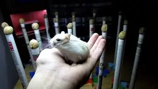 СБОРКА РАКЕТ #1 СДЕЛАЙ САМ