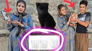 Zainab's Request: Unfinished Challenges⁉️😕