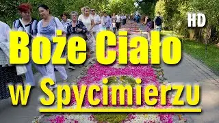 Boże Ciało w Spycimierzu w 2011 roku (Corpus Christi procession)