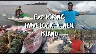 Exploring Havelock and Neil Island |Andaman and Nicobar| Travel Vlog