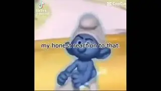 My reaction to that- 🤣 #fyp #memes #funny #trending #smurfs