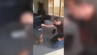 смешные приколы про собак