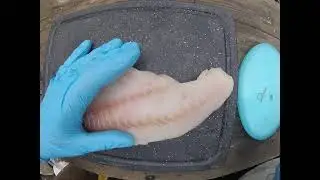 Parasitic nematodes in ocean fish- Anisakis removal