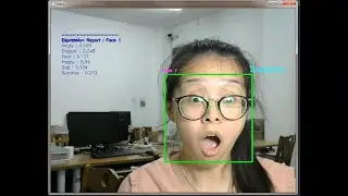 Real-time Facial Expression Recognition with CNN (2020) from Normal Camera and Videos For Subject 3: