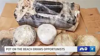 Pot On Beaches