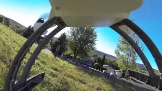Blade 350 QX Aerobatics
