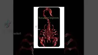 SCORPION 🦂♏🦂♏🦂