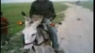 maroc lahbal 36  7mar  li  3am 3000