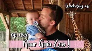We gaan naar Gaia Zoo 🦒 & Unboxing skip hop Jumper! 😁*beste aankoop ever* l Young Mom l 
