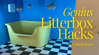 10 Creative Litter Box Setups for Small Apartments (NYC Edition)